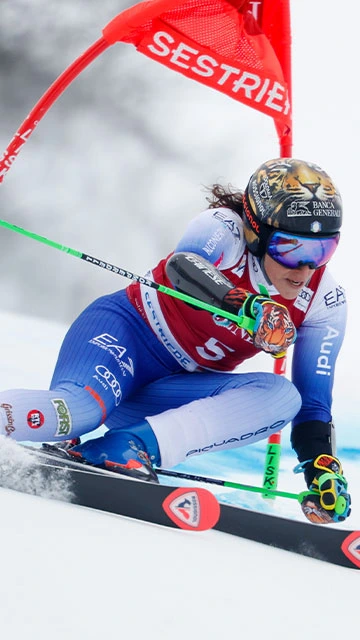 rossignol